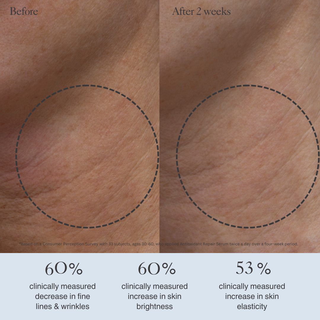 Antioxidant Repair Serum