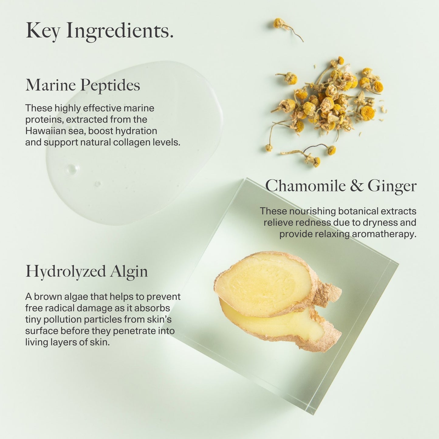 Gentle Hydrating Cleanser